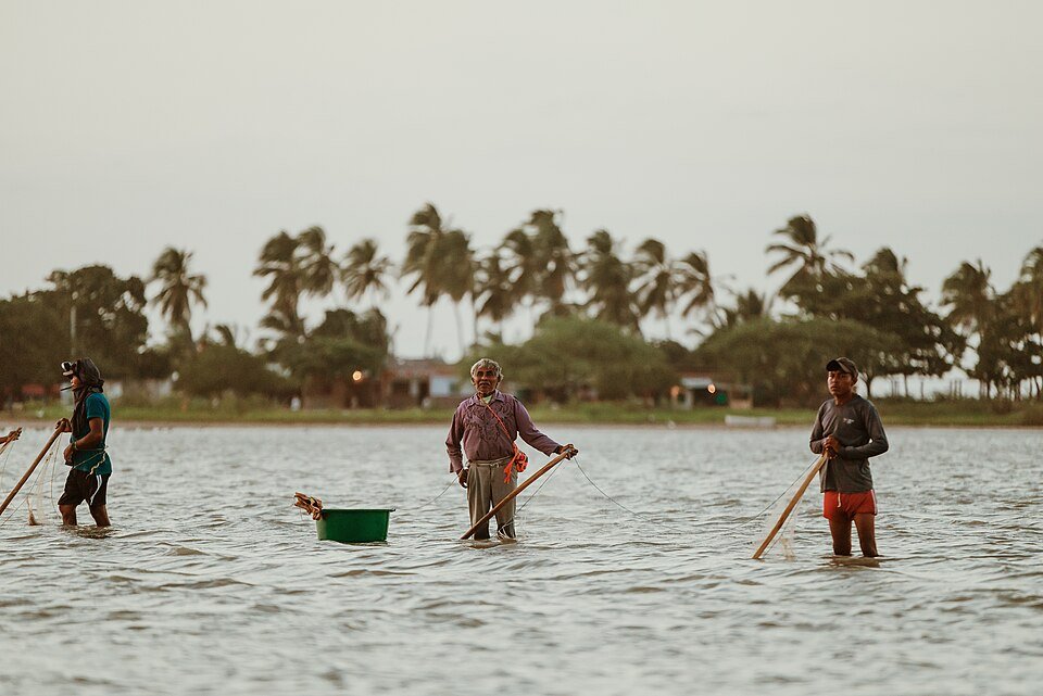Pescadores trabajando en la playa